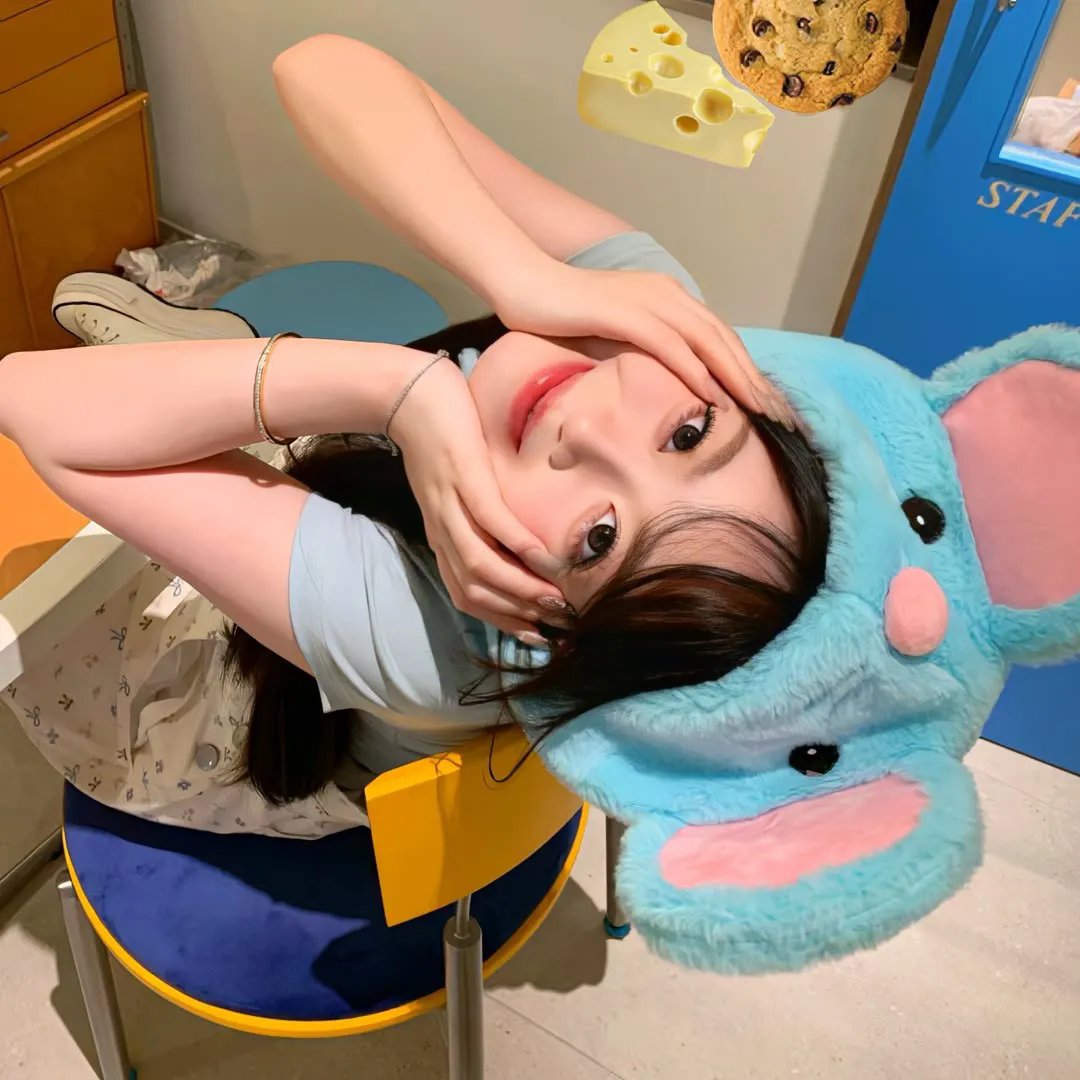 壁花少年