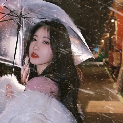 菊石